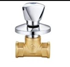 Shower Valve