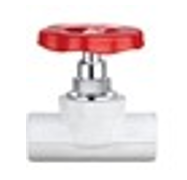 Double Lin PPR Gate Valve 1"