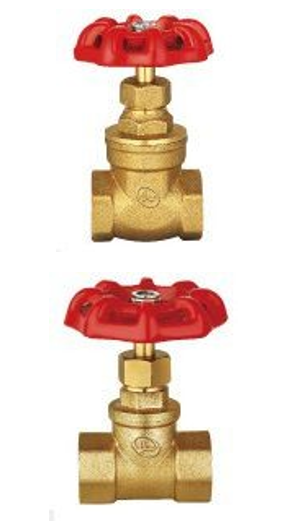 Double Lin Gate Valve & Globe Valve 1/2"