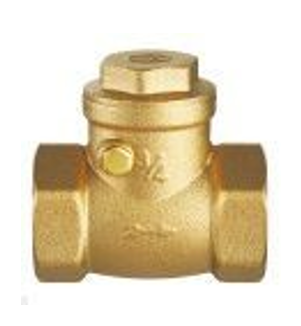 Double Lin Swing Check Valve 3"