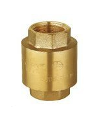 Double Lin Universal Check Valve 2"