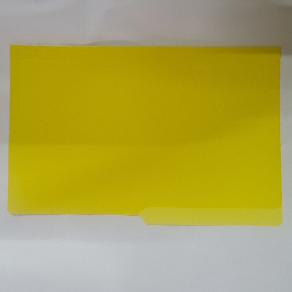 Gator Colored Long Folder 11pt | 10 Pcs Set | 9.5x15in | Assorted Colors For Filing