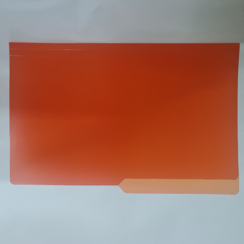 Gator Colored Long Folder 11pt | 10 Pcs Set | 9.5x15in | Assorted Colors For Filing