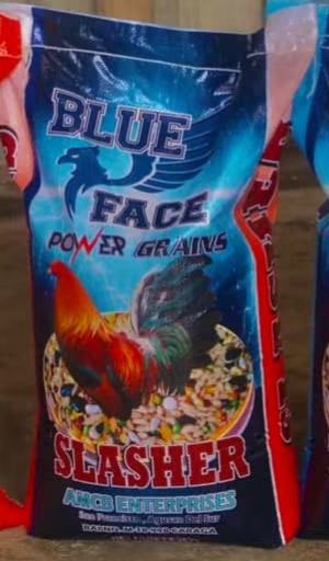 BLUE FACE GRAINS