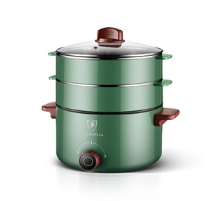 ELECTRIC STEAMER