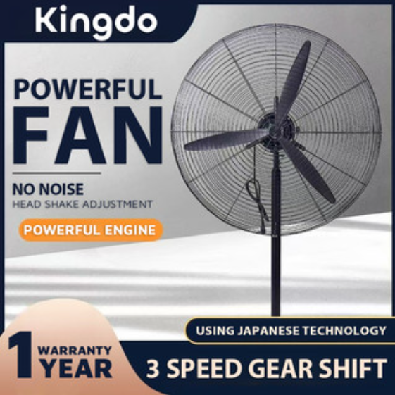 Fan