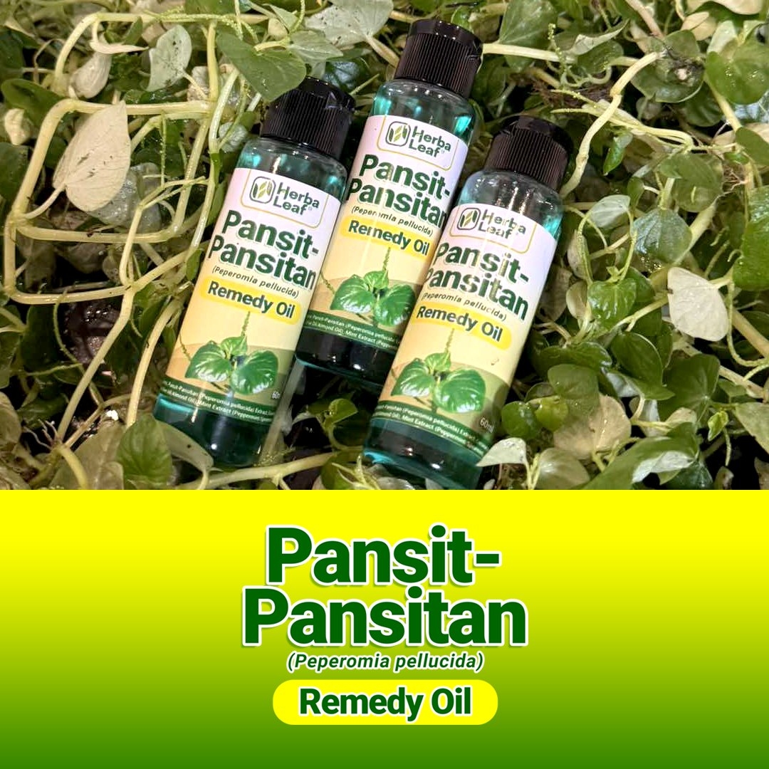 PANSIT PANSITAN OIL 60ml - S6-332---60ML
